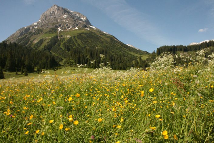 Omesberg-Blick im Sommer