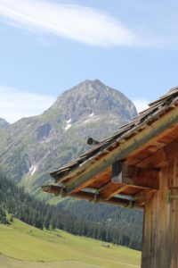 Dachdetail - Sommer in Lech