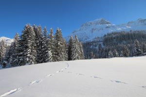 Winter Idylle
